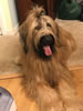 hugo1
