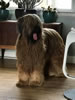 hugo2