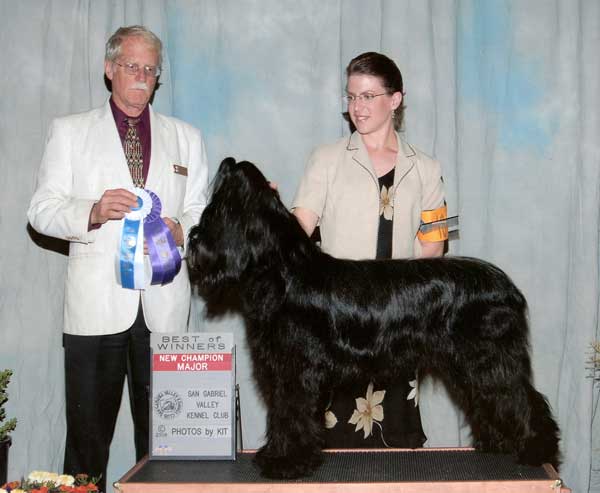 Liza with Karen Bruneau finishing her AKC Championship