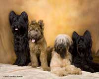 Belle and her kids